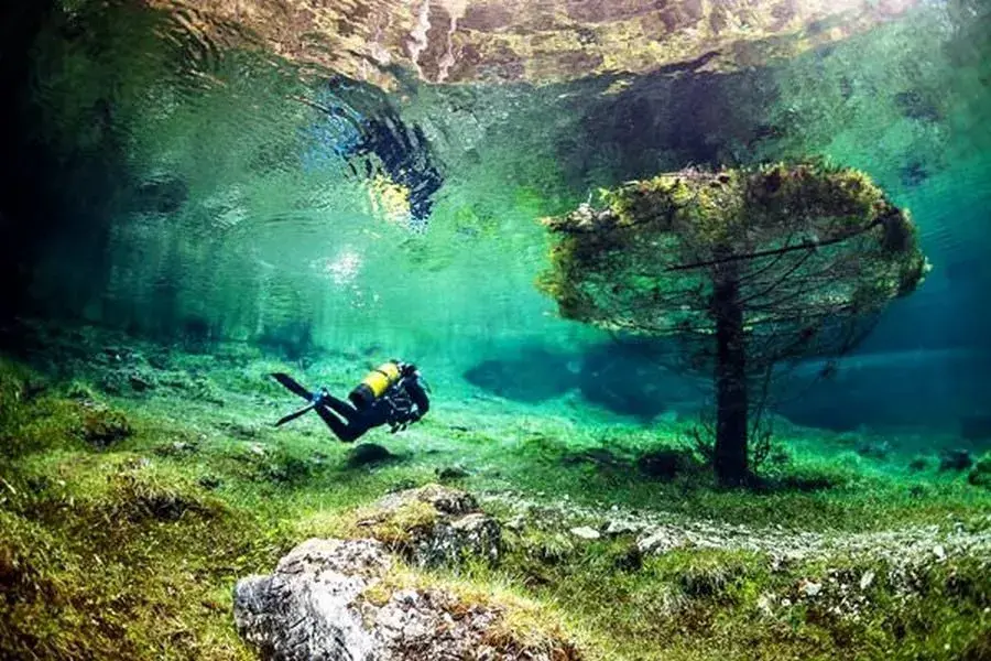 Parque submarino de Las Grutas, un destino inolvidable