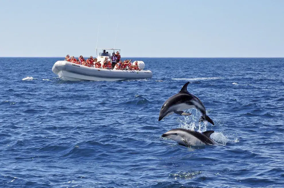 Puerto Madryn , la escapada ideal para disfrutar con los más chicos.