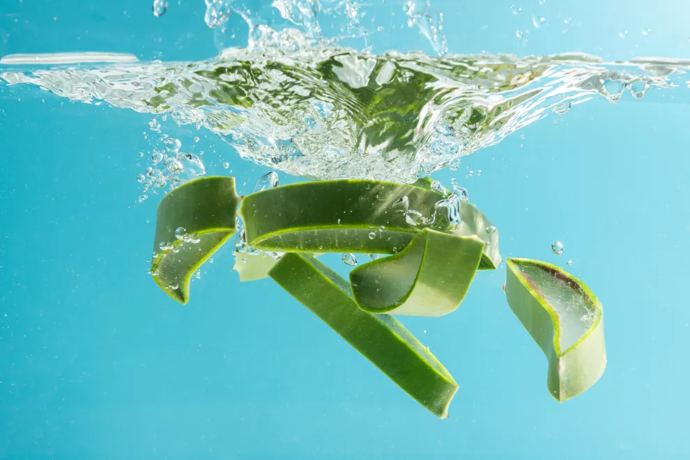 La receta definitiva: ¿cómo preparar agua de aloe vera?
