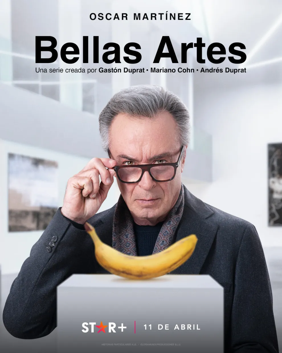 Afiche oficial de Bellas Artes.