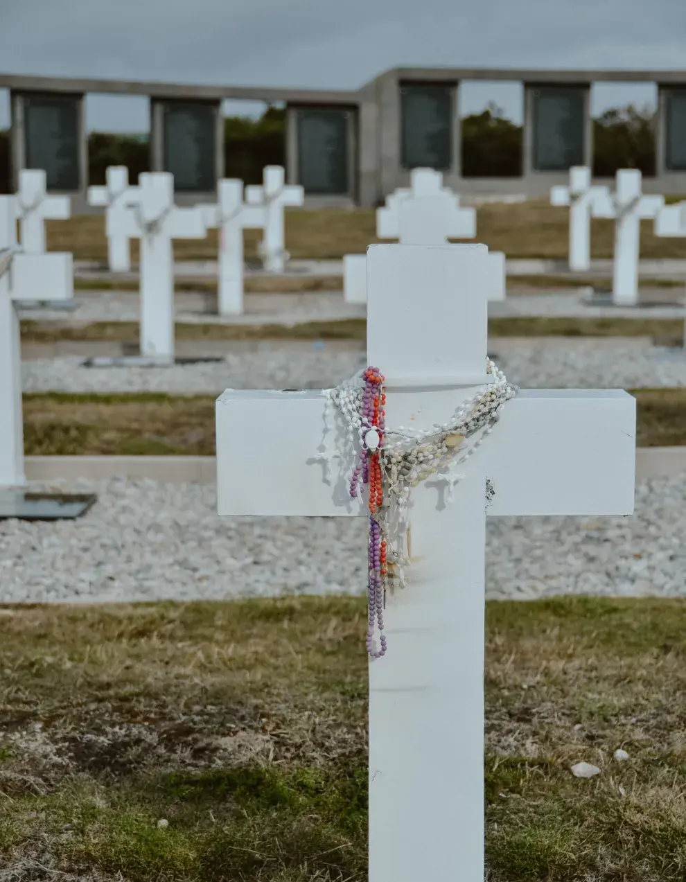 Cementerio de Darwin