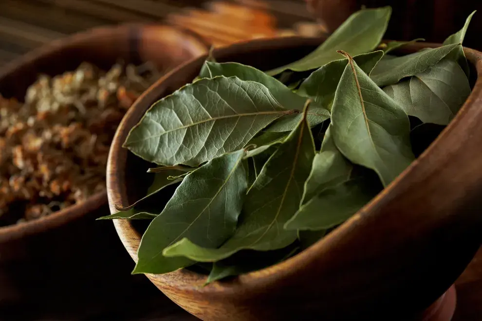 El laurel en el baño puede ayudarte a rejuvenecer la piel.