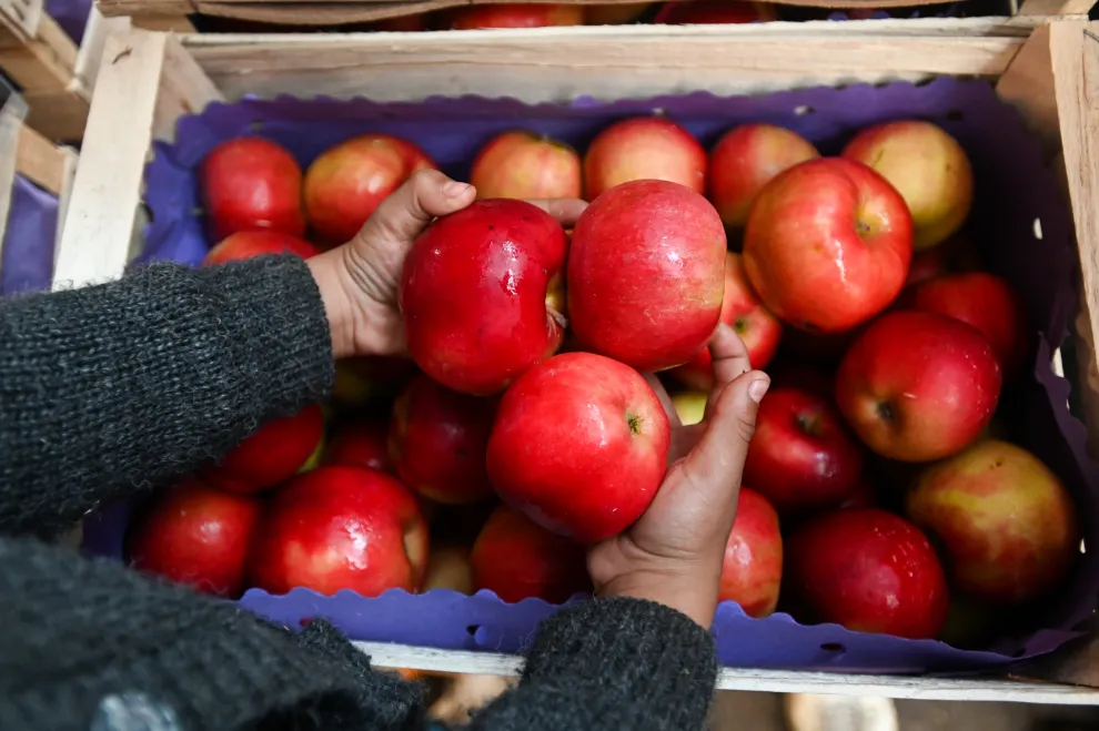 Las manzanas contienen una variedad de vitaminas y minerales esenciales, incluyendo vitamina C, vitamina A, potasio y antioxidantes
