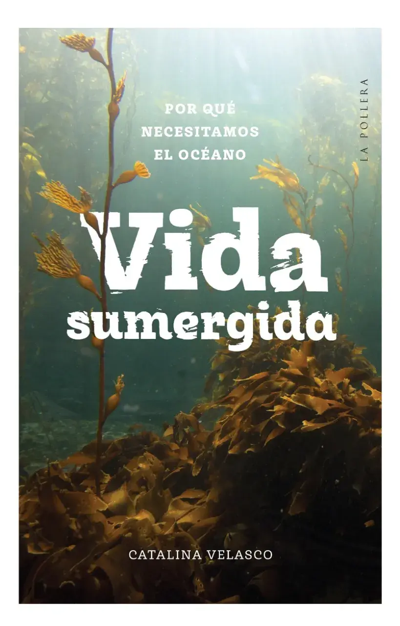 Vida sumergida, de Catalina Velasco