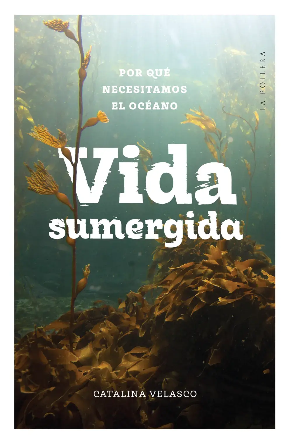 Vida sumergida, de Catalina Velasco