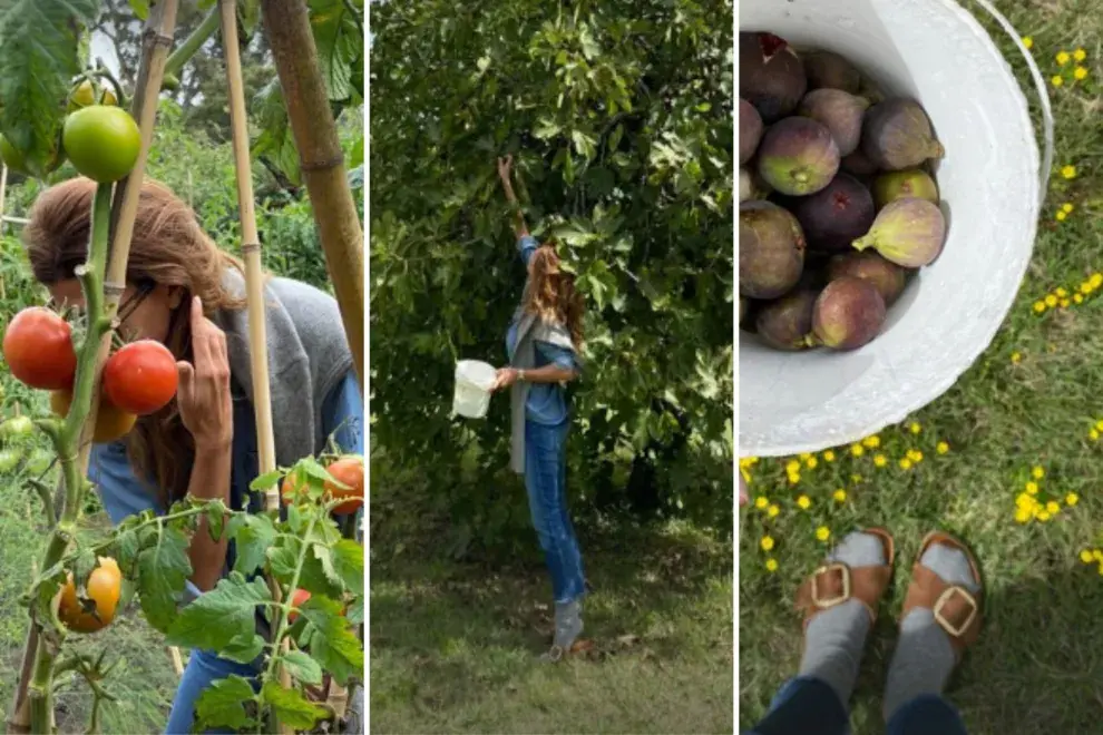 Desde hace años, Juliana Awada cultiva en su propia huerta.