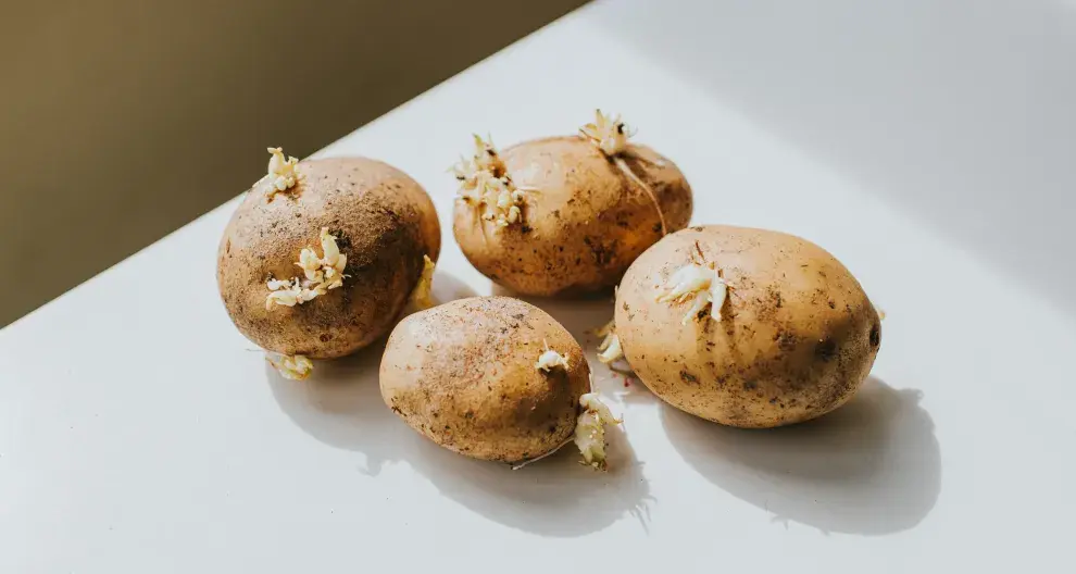 Las papas tienen grandes propiedades nutricionales.