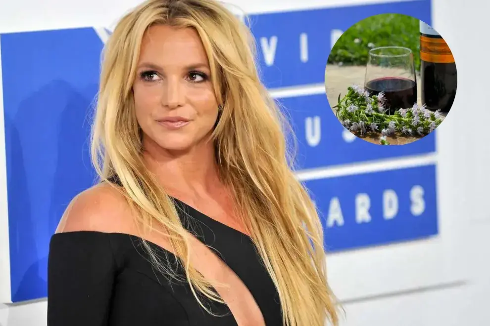 Britney Spears quedó fascinada con un vino argentino.