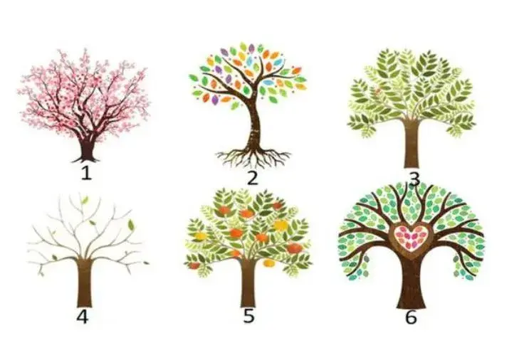 Elegí un árbol y descubrí qué es lo que más se destaca de tu personalidad