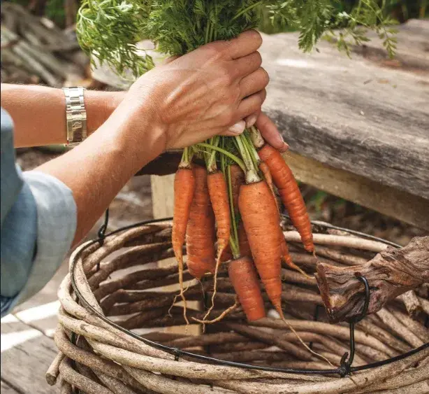 Juliana cosecha sus propias verduras en su huerta orgánica