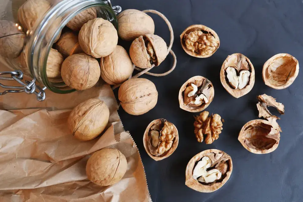 Las nueces también mejoran la función cerebral y cuidan la salud intestinal,