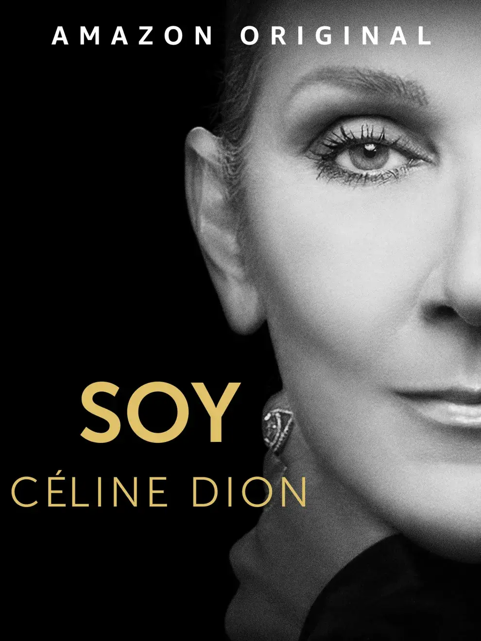 Poster de Soy Céline Dion.