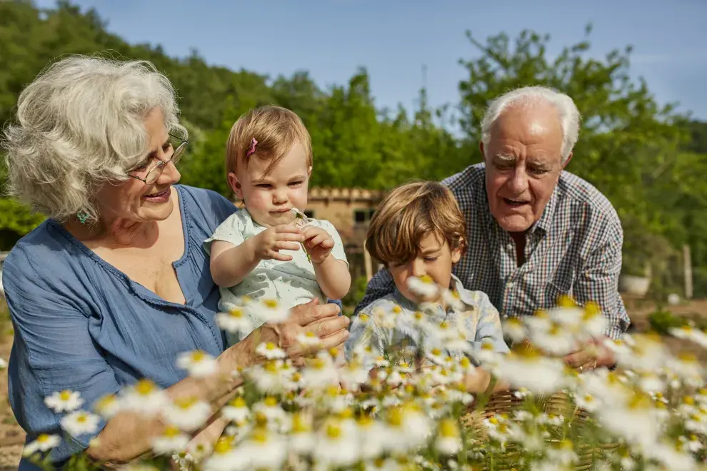 Día de los Abuelos: por qué se celebra el 26 de julio.