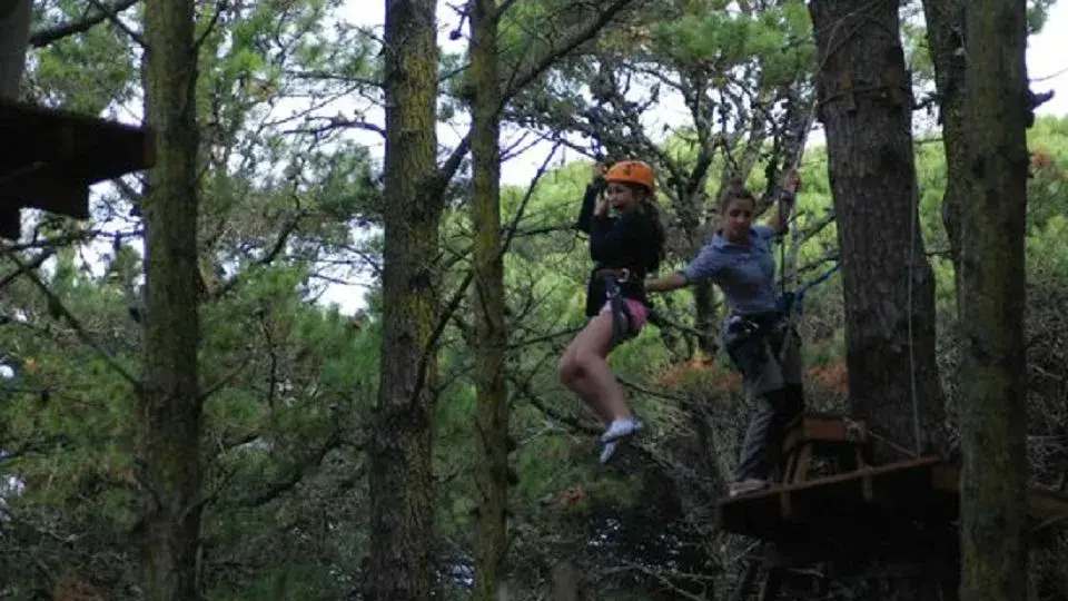 Bosque aéreo en Cariló: planazo para hacer con chicos.