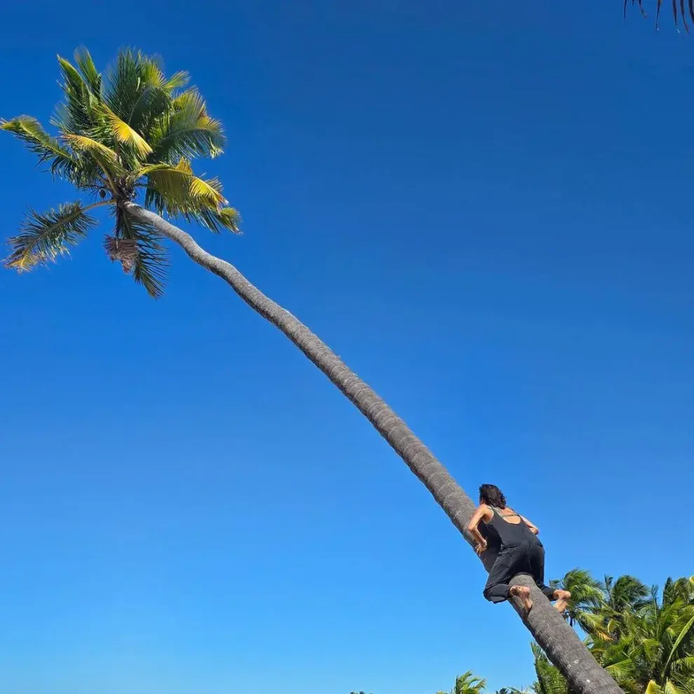 Juana Viale subido a una palmera.