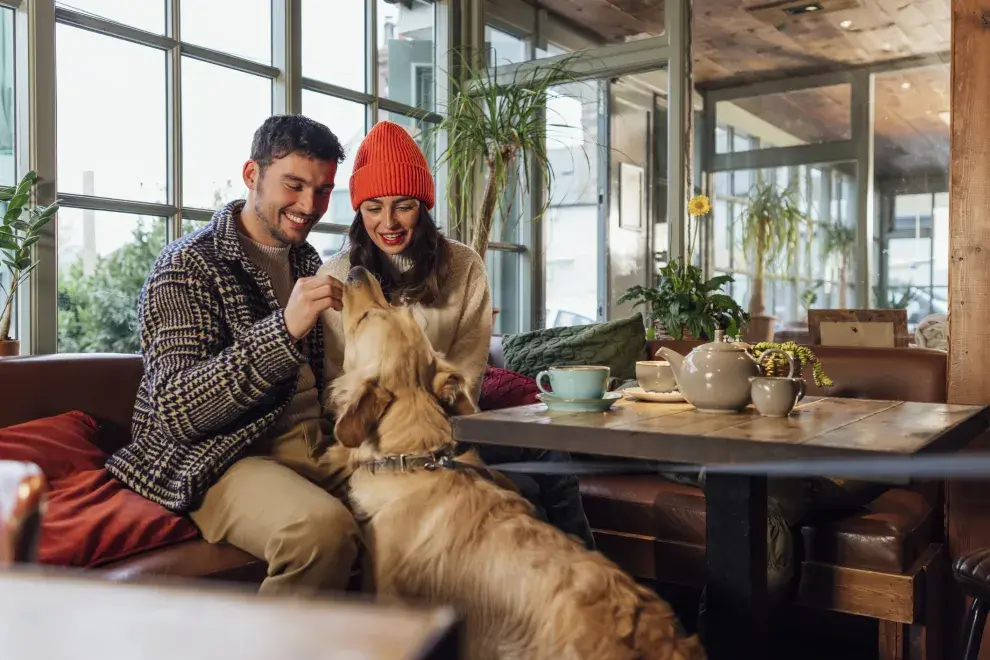 ¿Querés llevar a tu perro a una cita romántica? El secreto para que te vaya bien.