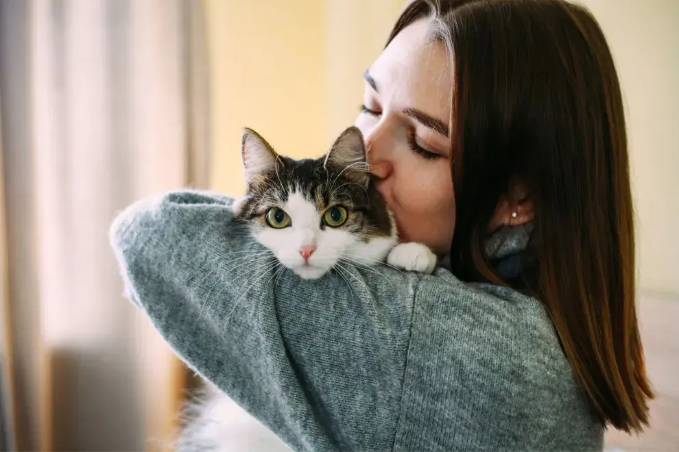 Los gatos son una raza extremadamente cariñosa y única