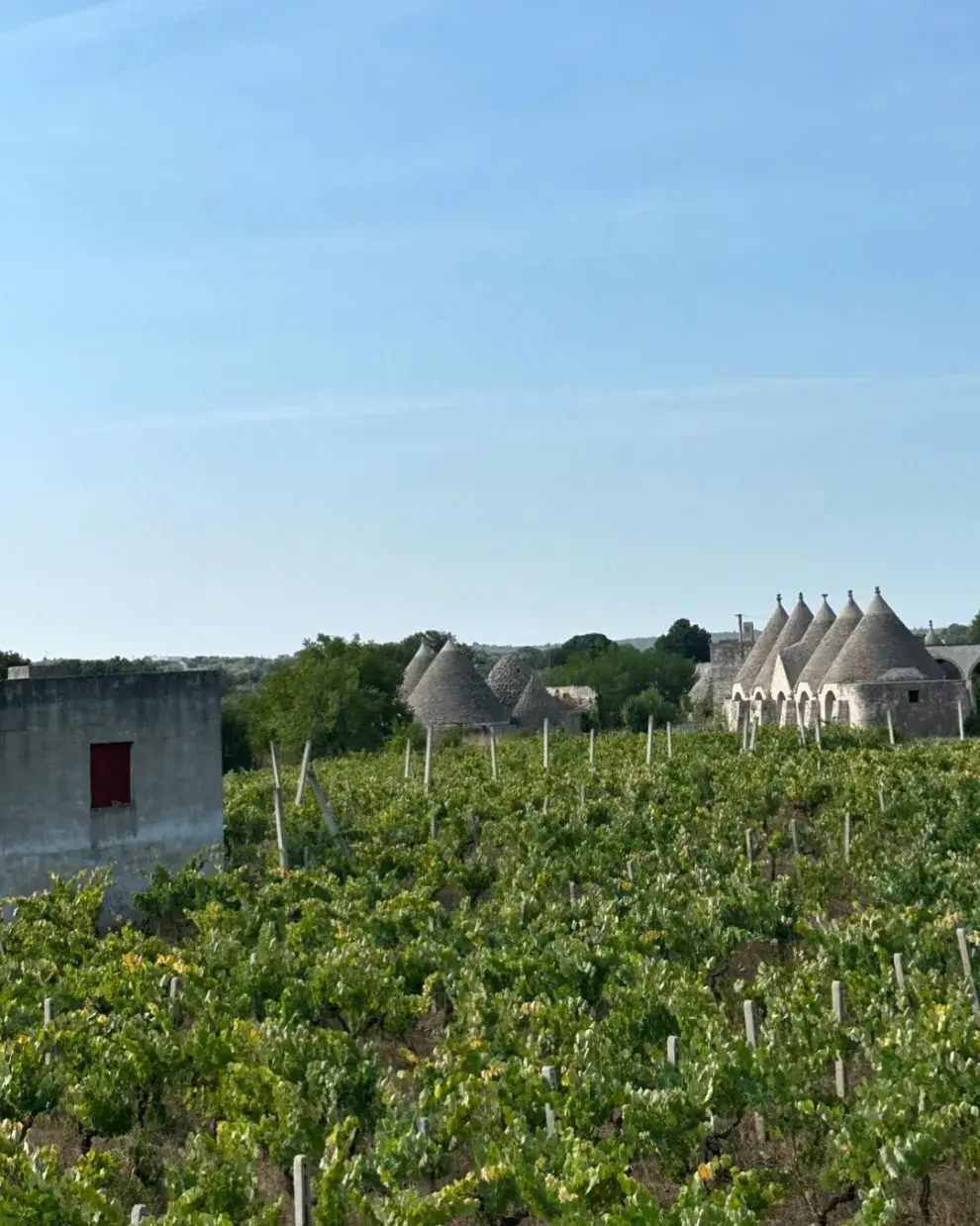 El lugar de Italia elegido por Juliana Awada para sus vacaciones con amigas.