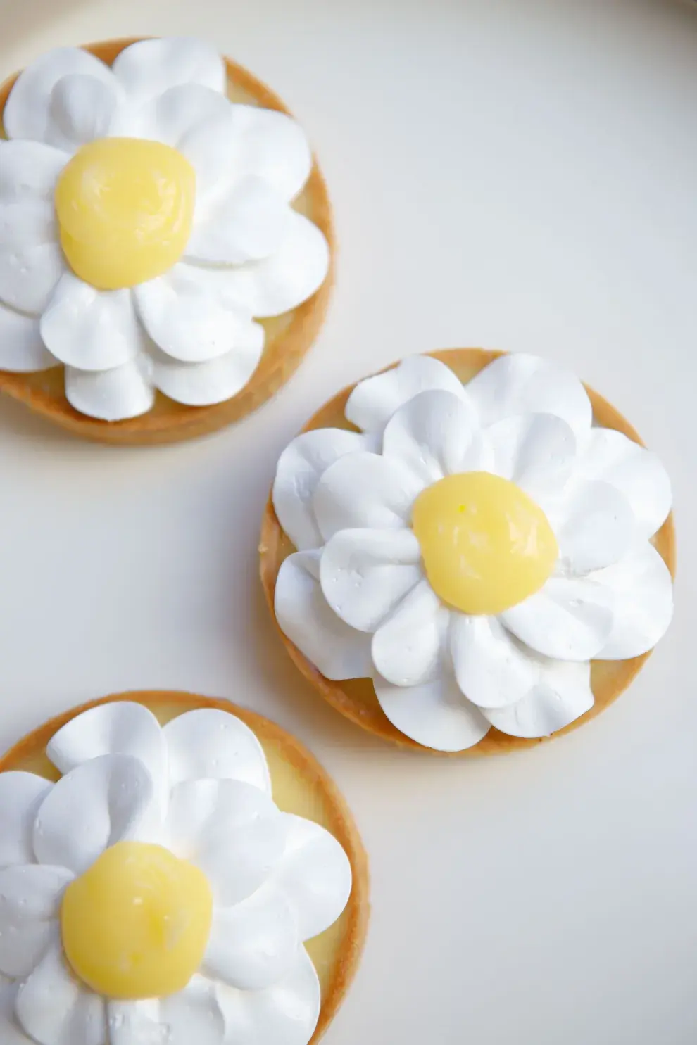 Lemon Pie