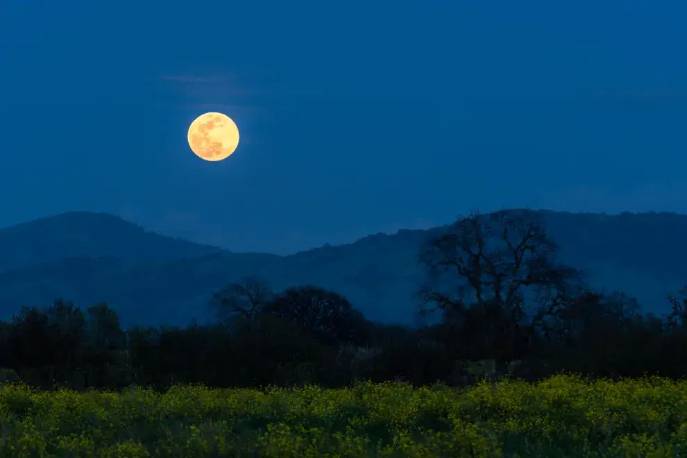 Se viene una superluna que sorprenderá por su tamaño, su nombre, su fecha y su influencia en otras lunas llenas. 