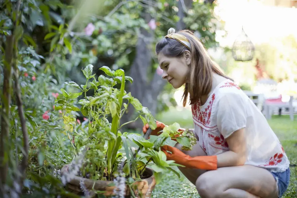 Mujer, plantas, jardín