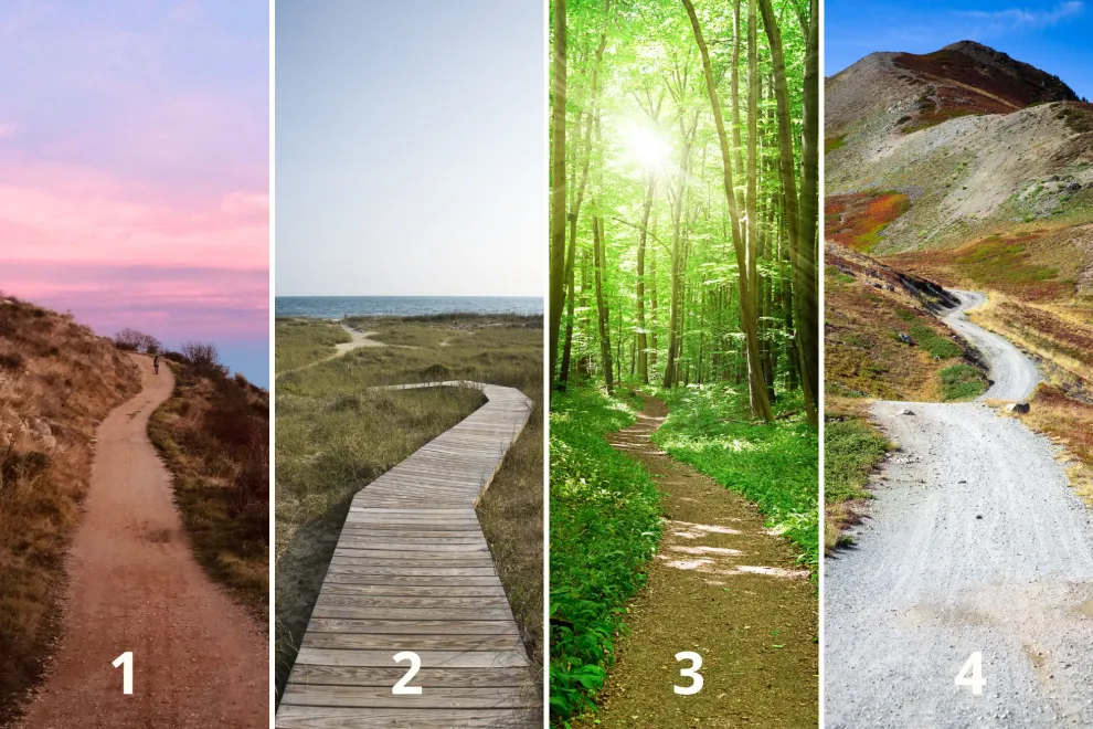 Cuatro caminos en escenarios naturales diferentes.