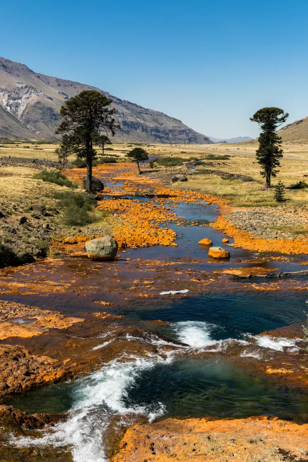 Caviahue-Copahue con sus ríos y araucarias