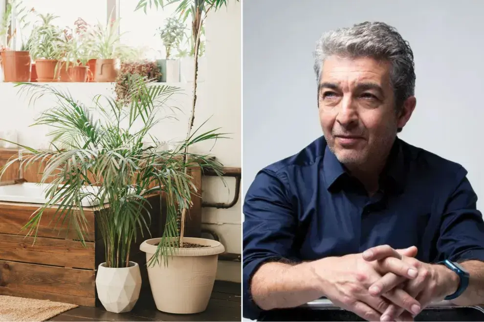 Ricardo Darín y la planta que tiene en su jardín