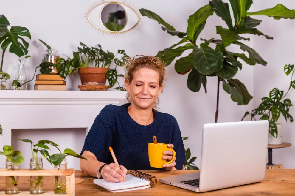 El ficus pandurata es de origen africano y vive sin problemas en espacios de interior y exterior.