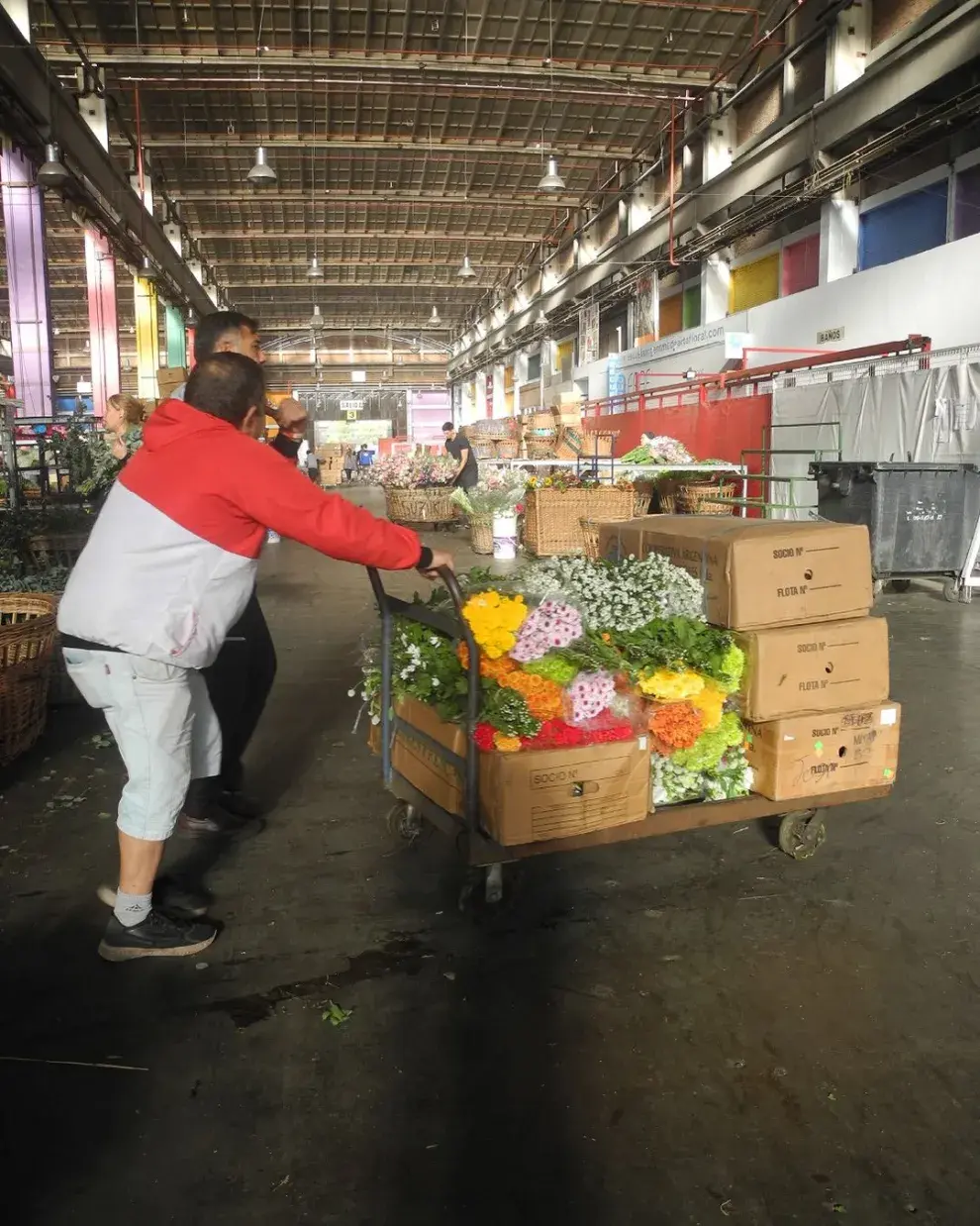 El Mercado de Flores de Barracas es ideal para comprar flores para eventos 