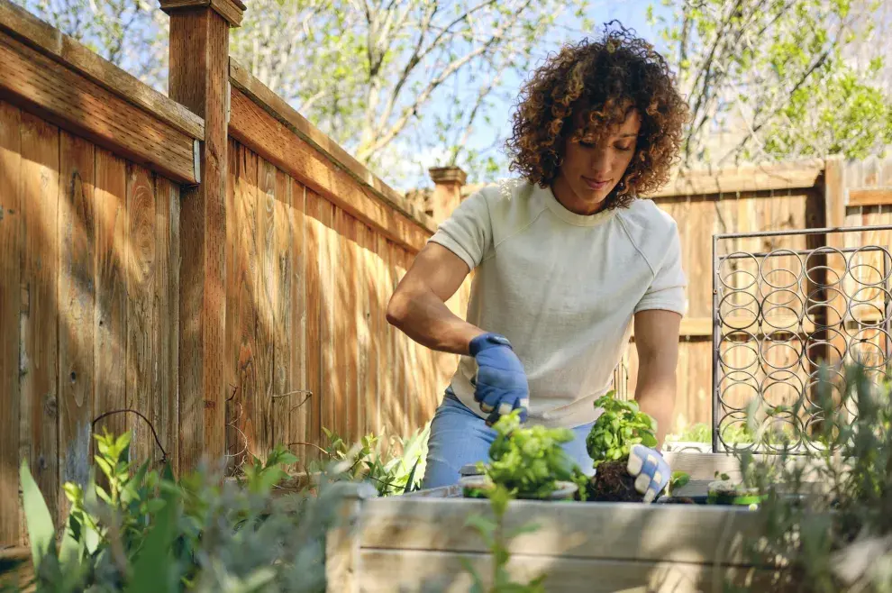 Huerta en primavera: ¿qué sembrar en septiembre?