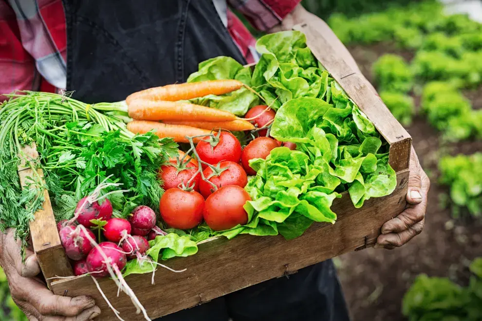 Aromáticas como albahaca y romero perfuman el jardín en los albores de la primavera