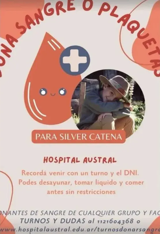 Captura de Storie de Juliana Awada pidiendo donar sangre para Silver, hace unos meses.