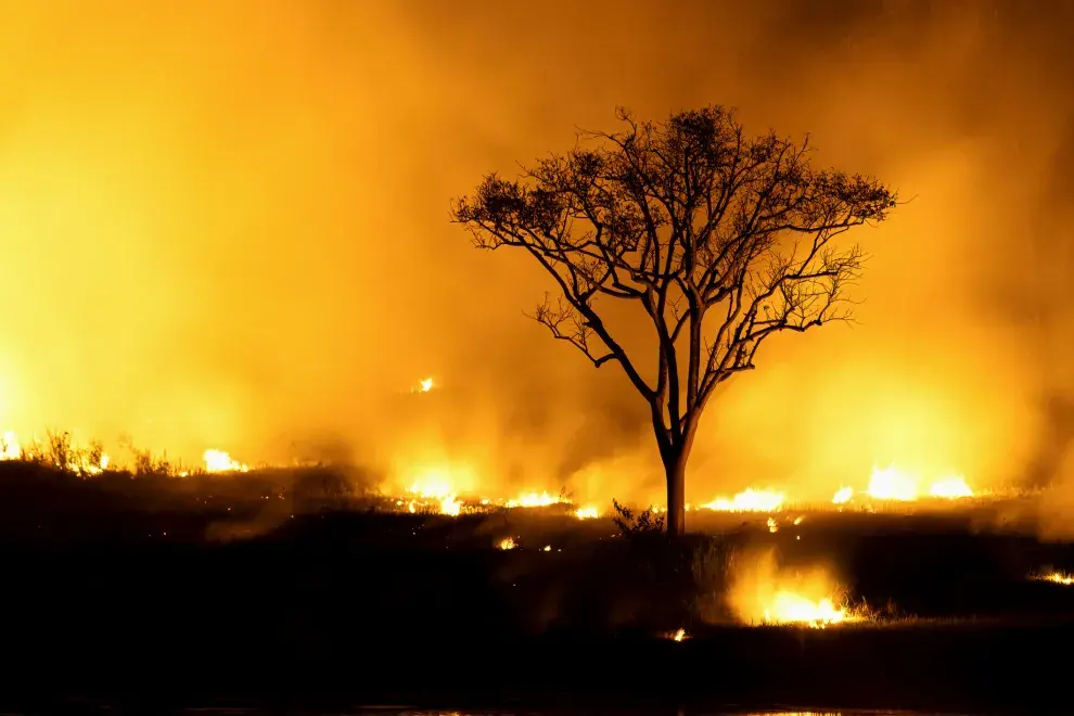 incendios