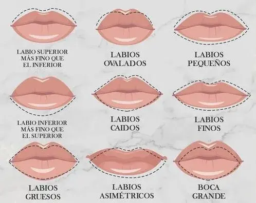 Diferentes tipos de labios.