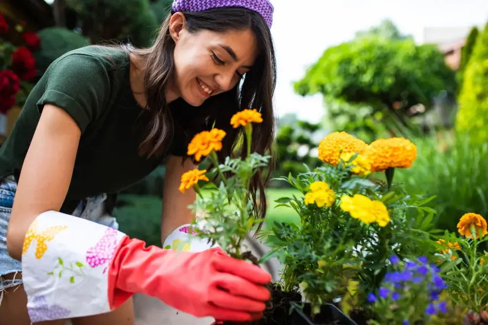 Existen plantas y flores que no conviene tener en casa porque atraen mosquitos, moscas y otros insectos.