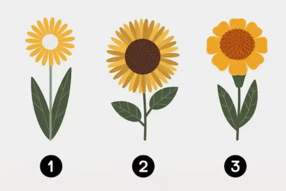 La elección de la flor amarilla que realices devela rasgos fundamentales de tu personalidad.