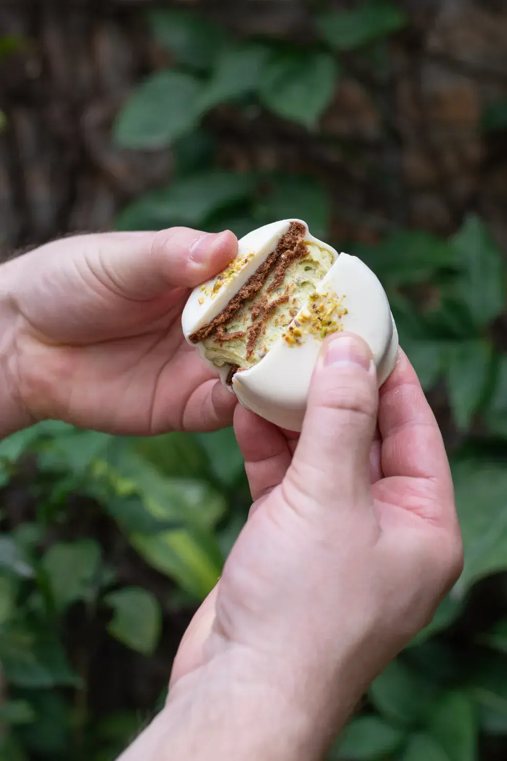 alfajor de choco blanco y pistachos