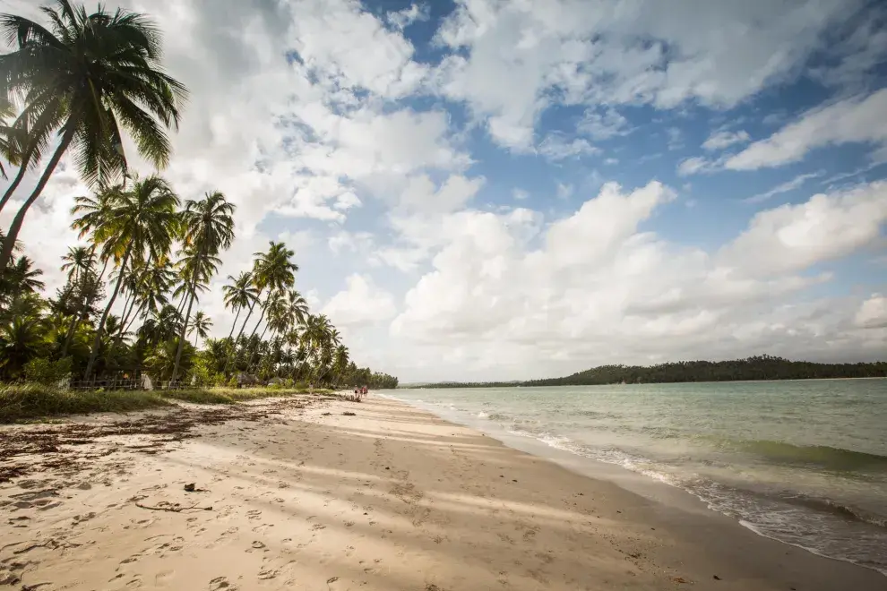 El palmar de Carneiros es uno de los más impactantes.