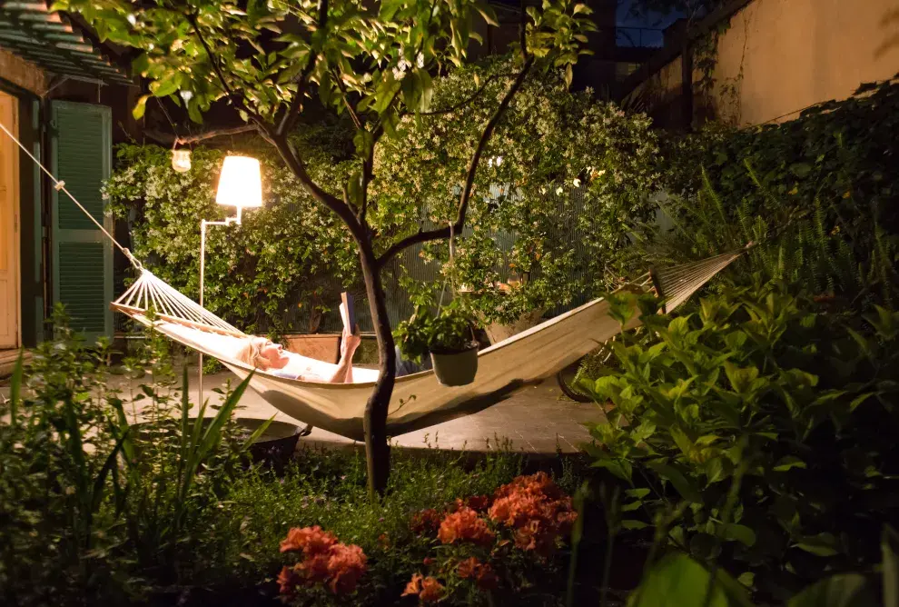 Las damas de noche florecen una sola vez, bajo la luna, e impregnan el aire con su delicada fragancia.