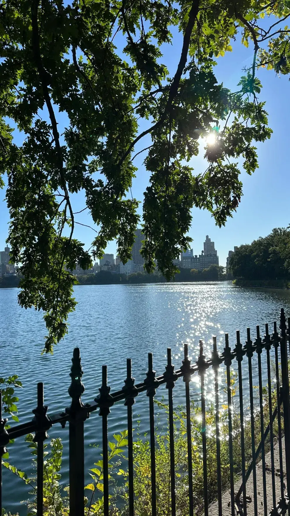 Las postales del viaje de Juliana Awada por Nueva York.