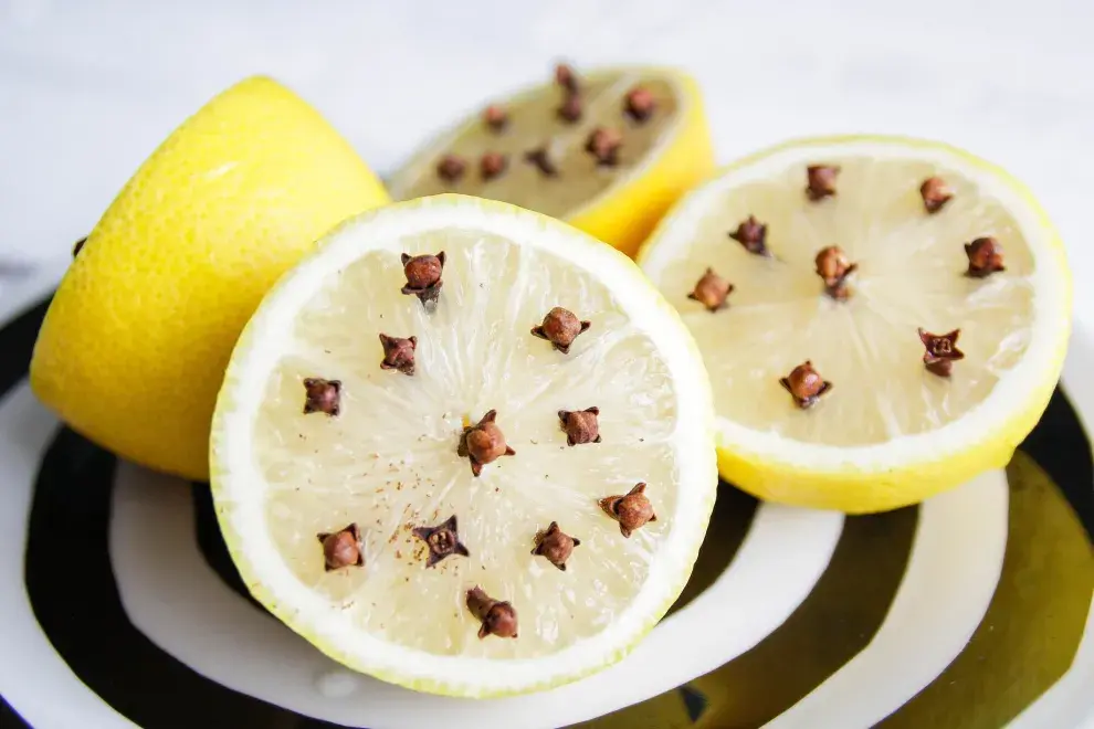 El limón con clavo de olor despide un aroma que aleja a los mosquitos. 