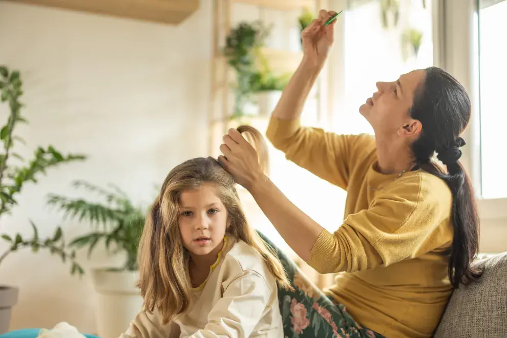 Las mejores alternativas para eliminar los piojos