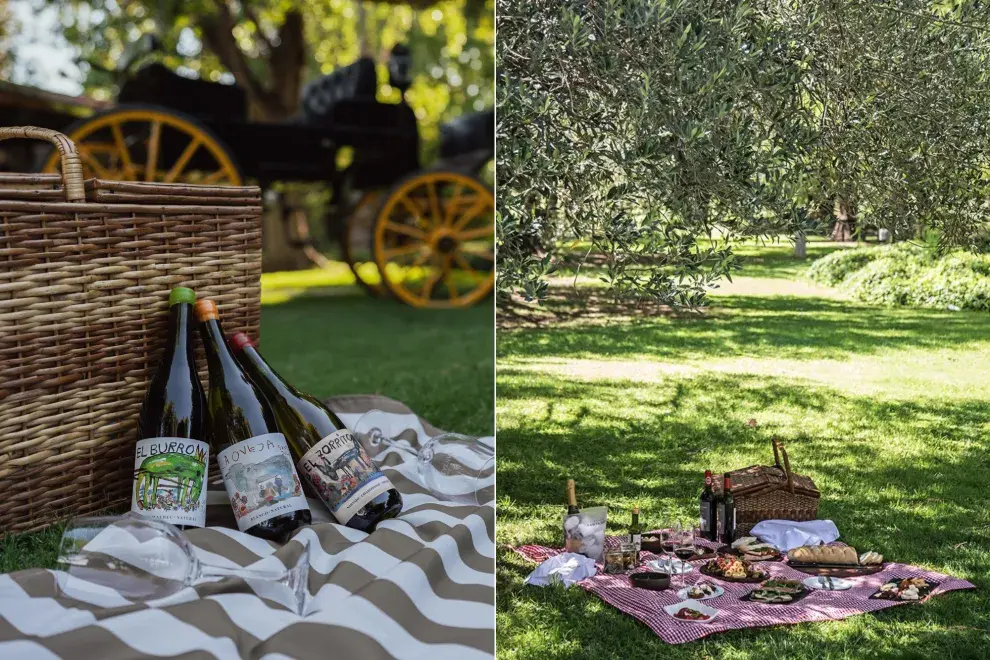 Picnic en el jardín de una bodega.