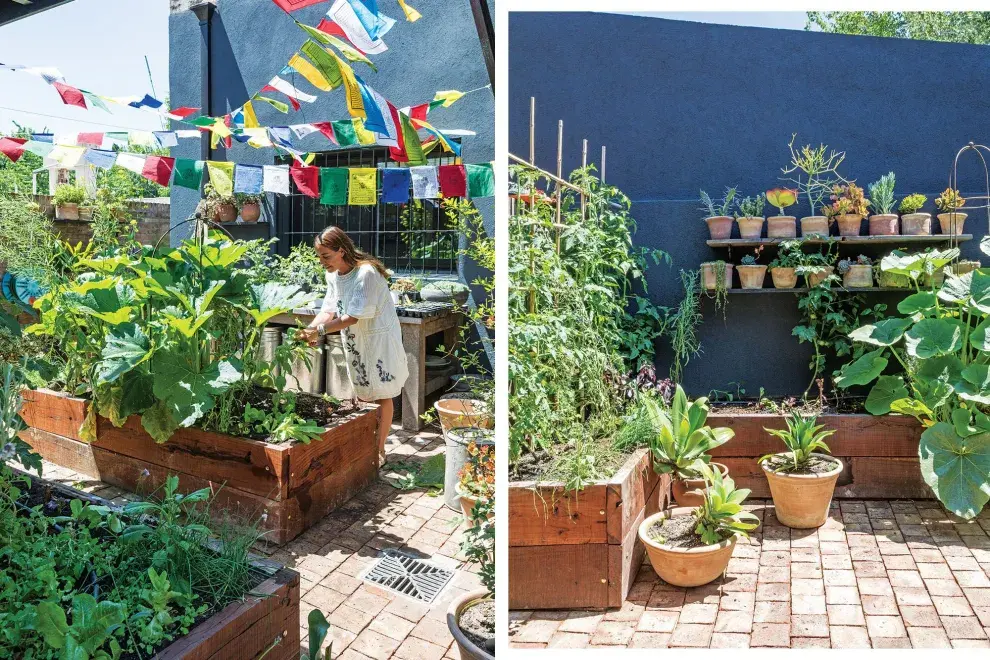 Los lugares al aire libre, especialmente las terrazas por su exposición al sol, que son ideales para cubrir de plantas, en estantes con macetas y canteros para huerta.