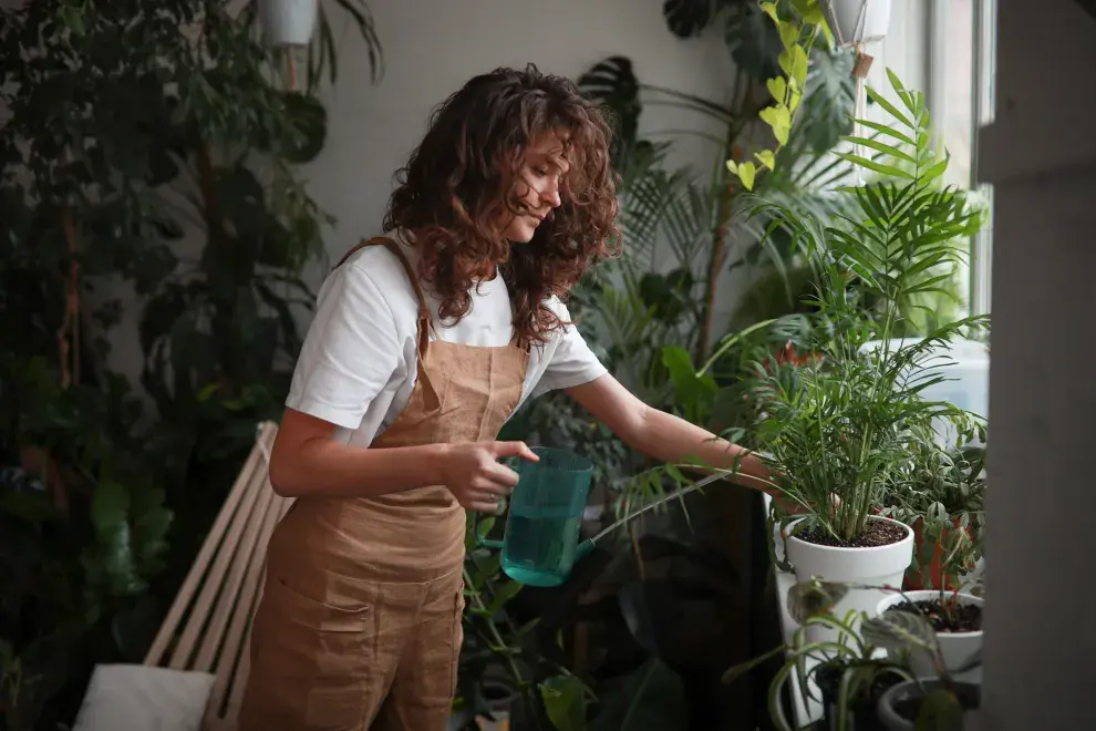 Las plantas además de decorar tus ambientes te ayudan a renovar el oxígeno.