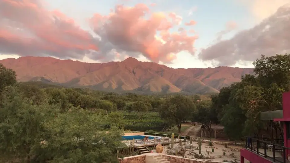 Paisaje desde la bodega Aráoz Lamadrid, en Córdoba.