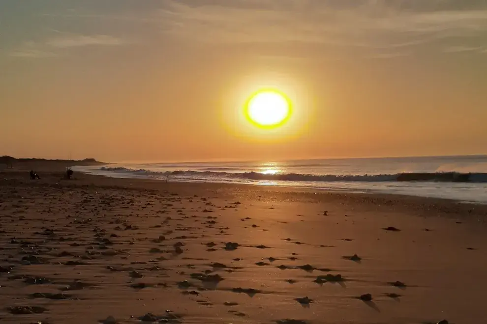 Atardecer soleado en playa arenas verdes dónde la arena y el mar se tiñen de un amarillo