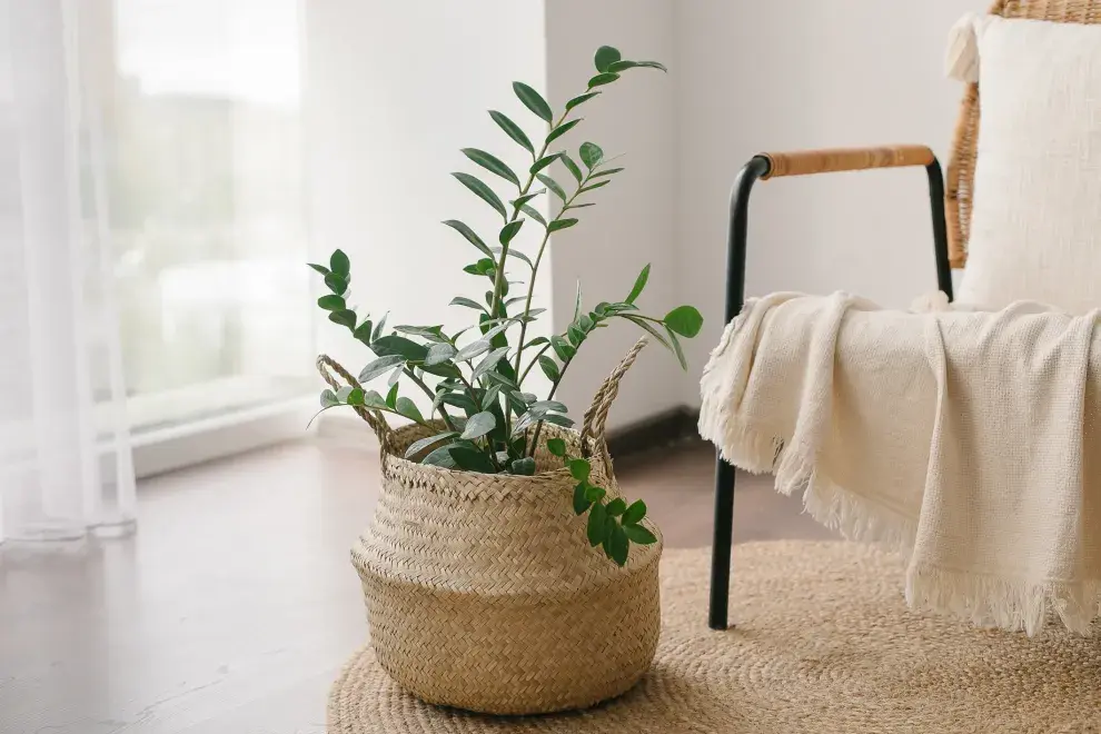 Los textiles en tonos blancos y crudos son muy compatibles con la decoración consciente.