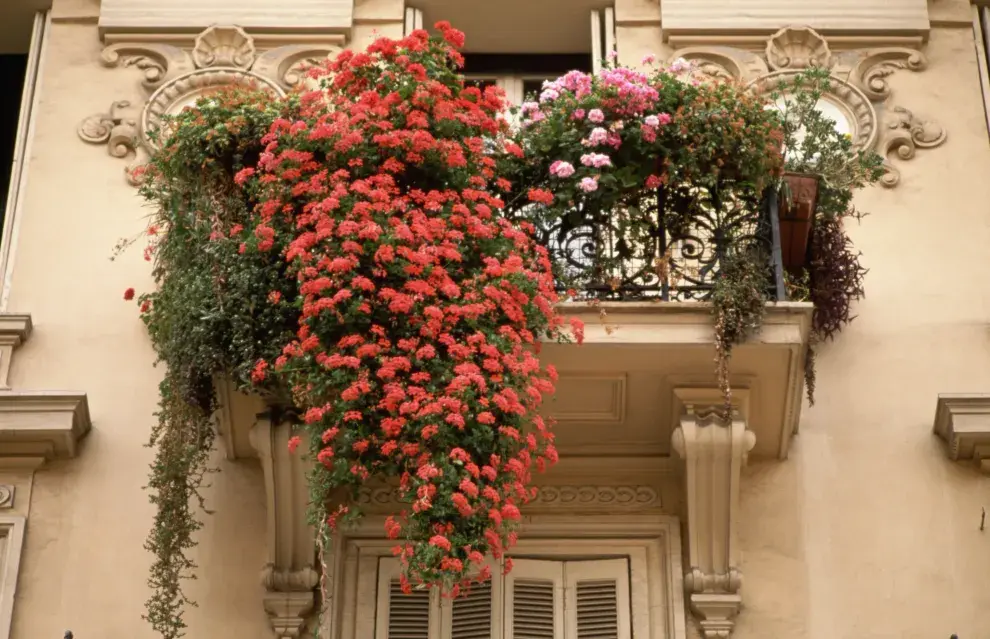 balcón con flores